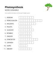 Photosynthesis word scramble puzzle