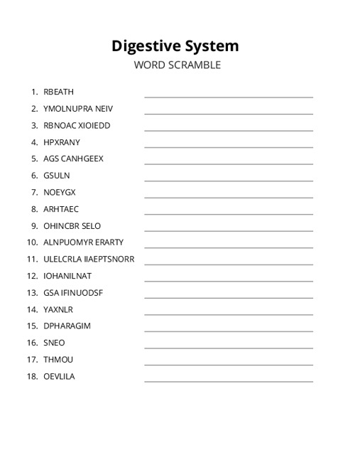 Digestive System Word Scramble Puzzle