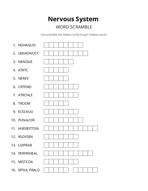 Nervous System Word Scramble Puzzle