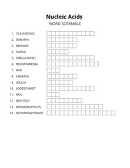 Nucleic Acids word scramble puzzle