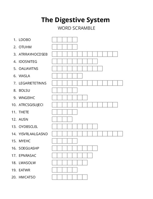 The Digestive System Word Scramble Puzzle