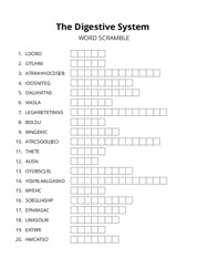 The Digestive System word scramble puzzle