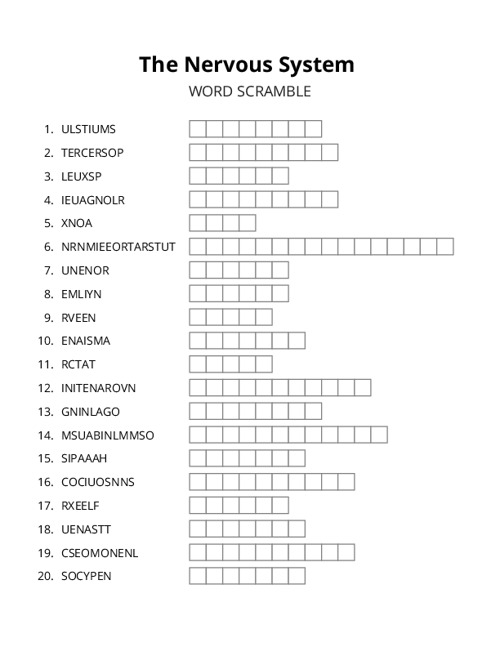 The Nervous System Word Scramble Puzzle
