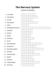 The Nervous System word scramble puzzle
