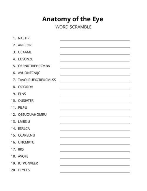 Anatomy of the Eye Word Scramble Puzzle