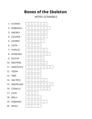 Bones of the Skeleton word scramble puzzle