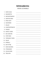 Echinoderms word scramble puzzle
