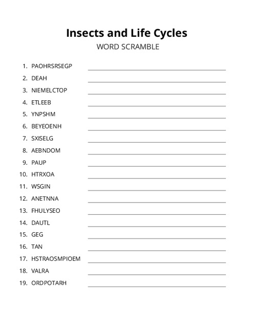 Insects and Life Cycles Word Scramble Puzzle