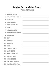 Major Parts of the Brain word scramble puzzle