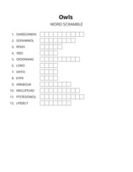 Owls word scramble puzzle