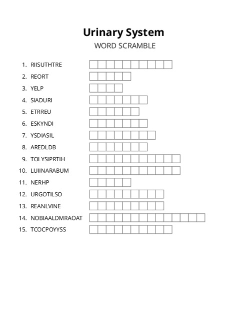 Urinary System Word Scramble Puzzle