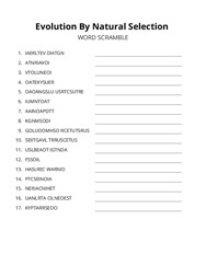 Evolution By Natural Selection word scramble puzzle