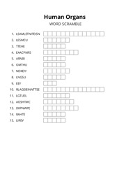 Human Organs word scramble puzzle
