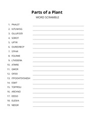 Parts of a Plant word scramble puzzle