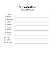 Parts of a Rose word scramble puzzle