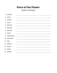 Parts of the Flower word scramble puzzle