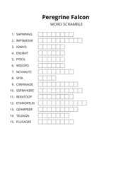 Peregrine Falcon word scramble puzzle