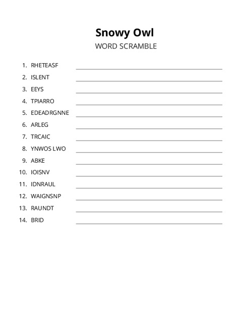 Snowy Owl Word Scramble Puzzle